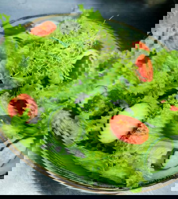 Sl0b Yasai Salad House Dressing