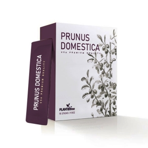 70478 Prunus Domestica 18g 15s