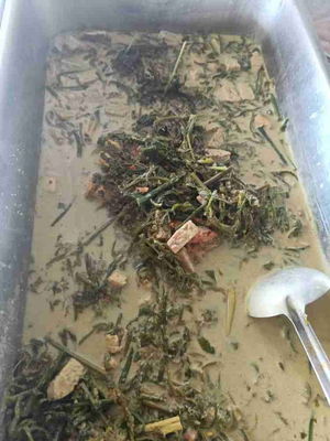 Masak Lemak Pucuk Paku
