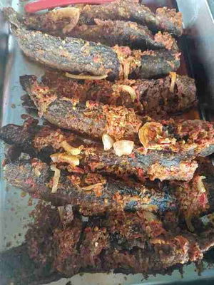 Ikan Keli Berlado