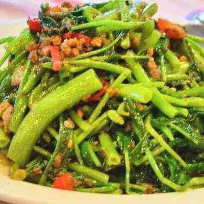 Kangkung