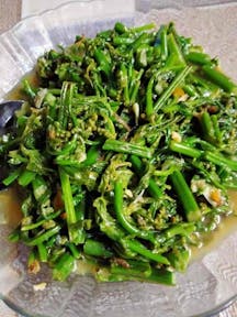 Pucuk Paku