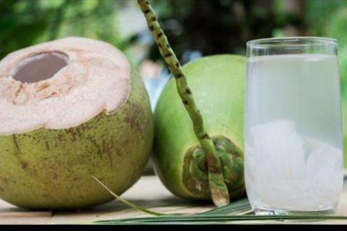 Kelapa Muda Segar