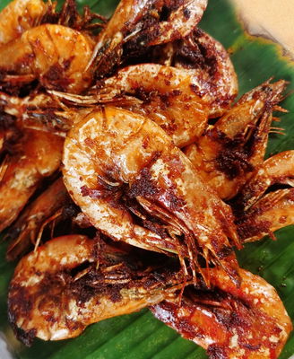  Udang Harimau (L)