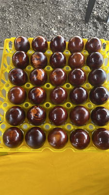 Telur Pindang