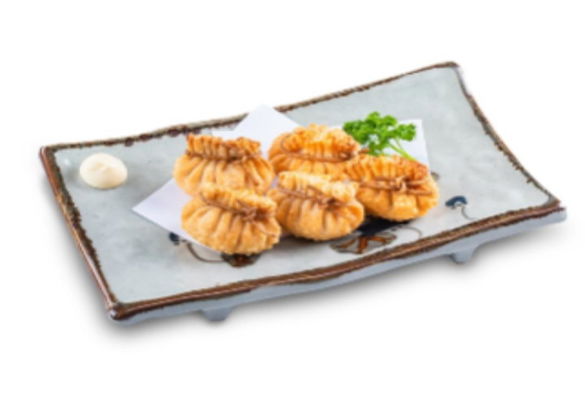 Ag11 Salmon Dumpling 