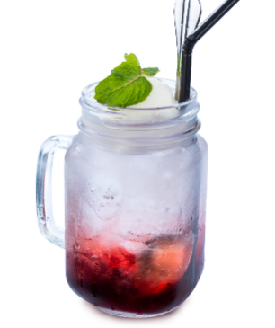 Sd08 Ribena Soda Float