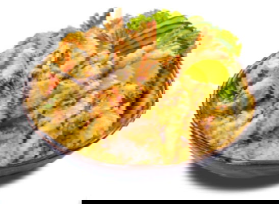 Dn19 Tendon 