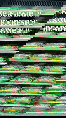 Aiskrim Sawanah Koko 3 Pcs